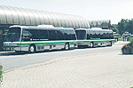 The People Mover Transit Bus at the Table Rock Station