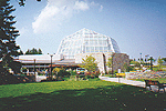 The Butterfly Conservatory