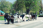 Sentineal Carriages