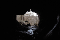 The Inside of the Devil's Hole Cave