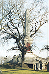 Soldiers Monument at Drummond Hill Cemetery