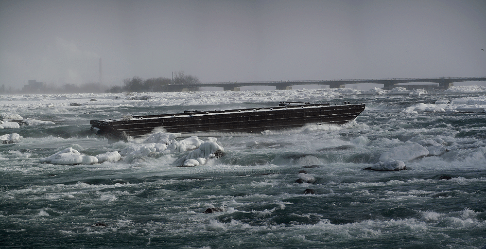 The Stranded Scow - January 2014