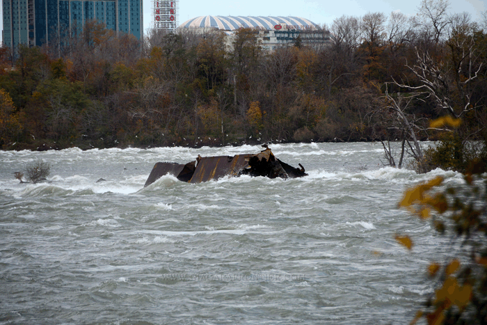 Scow following October 31st 2019 wind storm